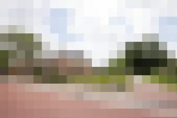 Buren 19 Ferwoude thumbnail 7