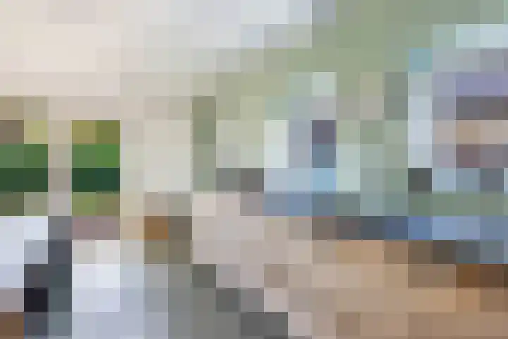 Buren 23 Longerhouw thumbnail 12