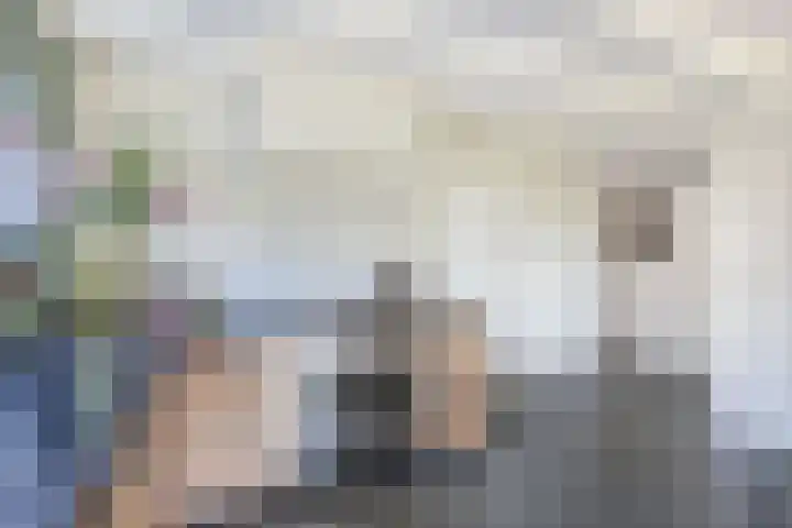 Buren 23 Longerhouw thumbnail 16