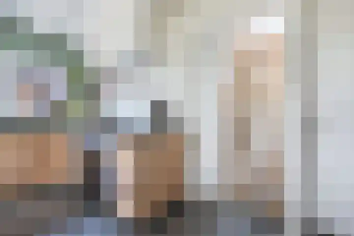 Buren 23 Longerhouw thumbnail 18