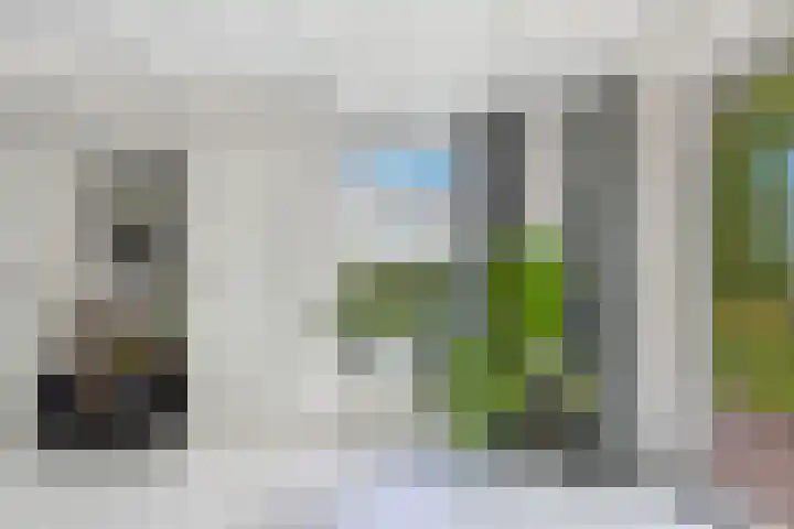 Buren 23 Longerhouw thumbnail 20