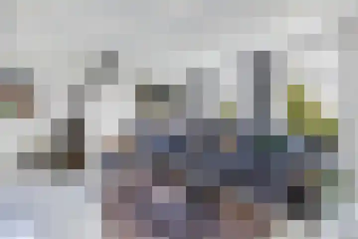 Buren 23 Longerhouw thumbnail 24