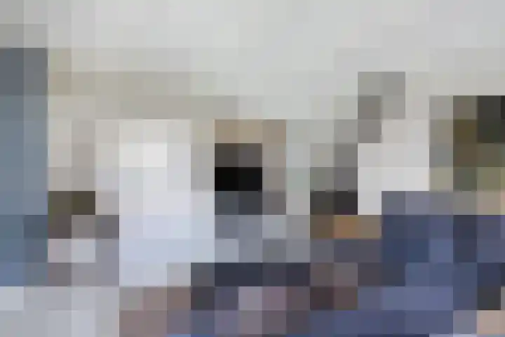 Buren 23 Longerhouw thumbnail 25