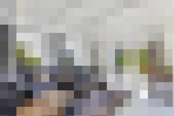 Buren 23 Longerhouw thumbnail 26