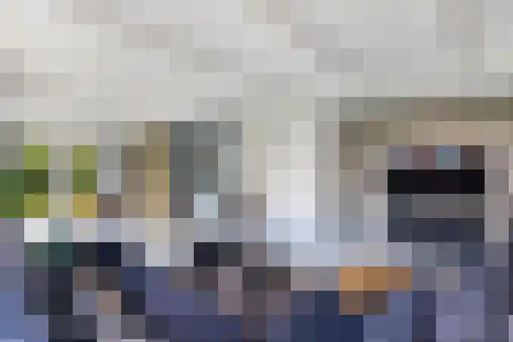 Buren 23 Longerhouw thumbnail 27