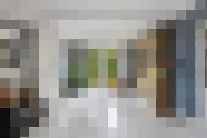 Buren 23 Longerhouw thumbnail 28