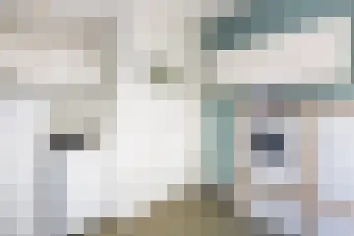 Buren 23 Longerhouw thumbnail 30