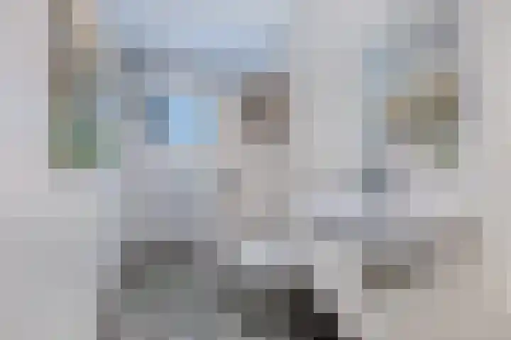 Buren 23 Longerhouw thumbnail 31