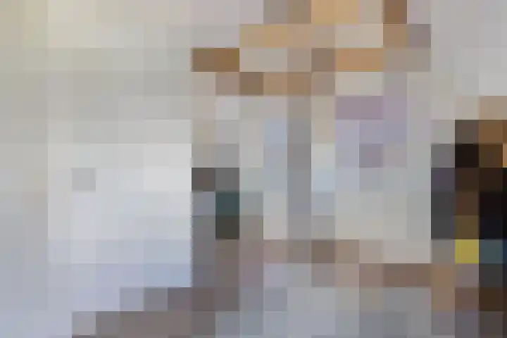 Buren 23 Longerhouw thumbnail 39