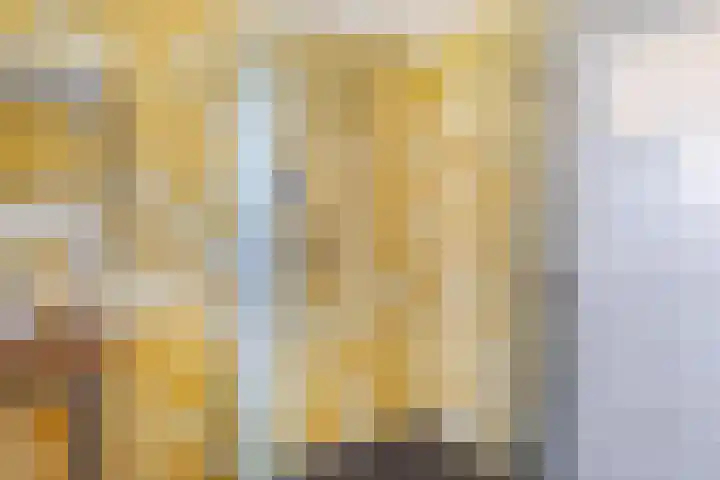 Buren 23 Longerhouw thumbnail 45