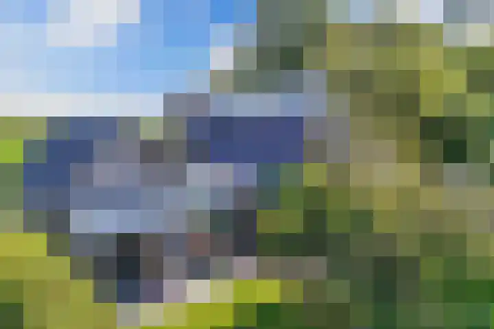 Buren 23 Longerhouw thumbnail 48