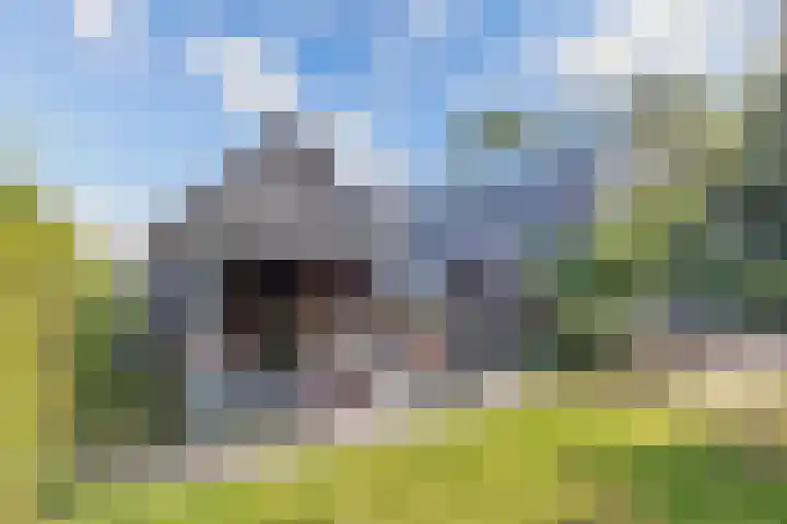 Buren 23 Longerhouw thumbnail 49