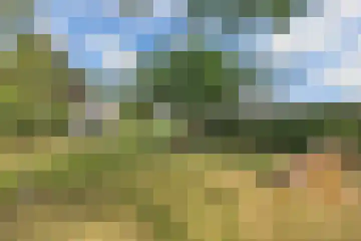 Buren 23 Longerhouw thumbnail 5