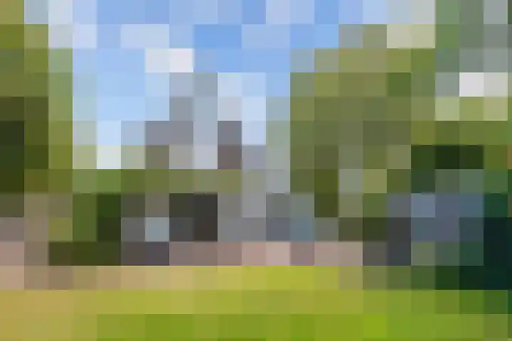 Buren 23 Longerhouw thumbnail 50