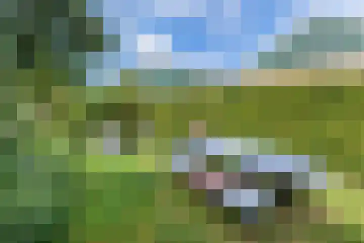Buren 23 Longerhouw thumbnail 52