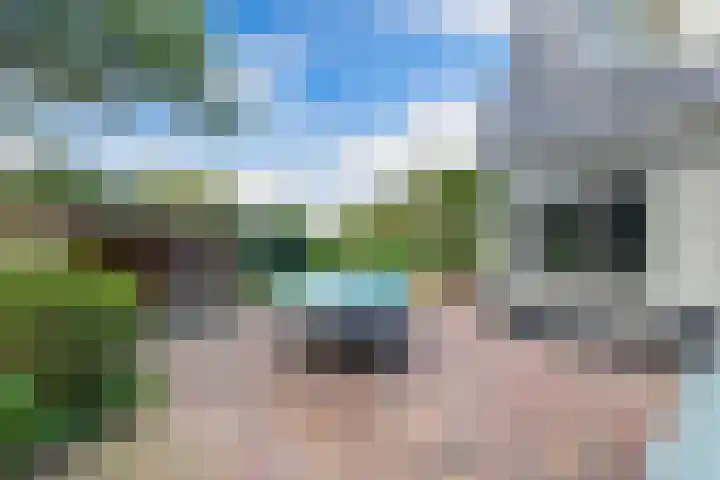 Buren 23 Longerhouw thumbnail 59