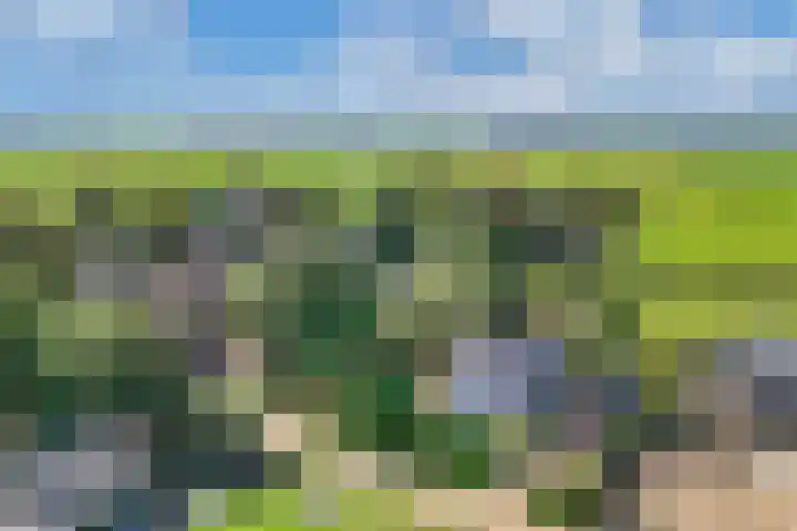 Buren 23 Longerhouw thumbnail 6