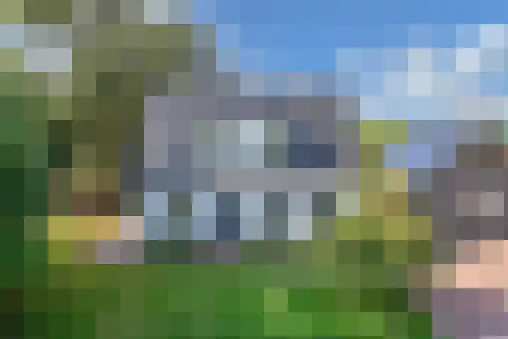 Buren 23 Longerhouw thumbnail 64