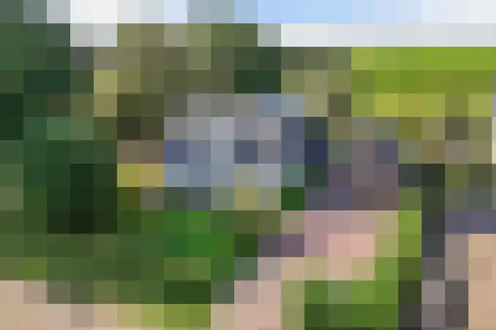 Buren 23 Longerhouw thumbnail 66