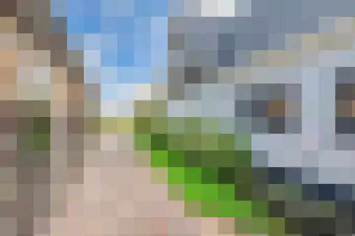 Buren 23 Longerhouw thumbnail 67