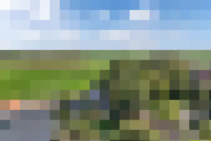 Buren 23 Longerhouw thumbnail 69