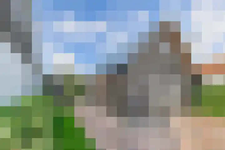 Buren 23 Longerhouw thumbnail 9