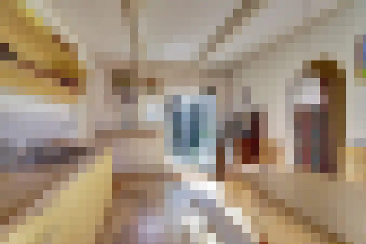 Buren 24 Gaast thumbnail 10