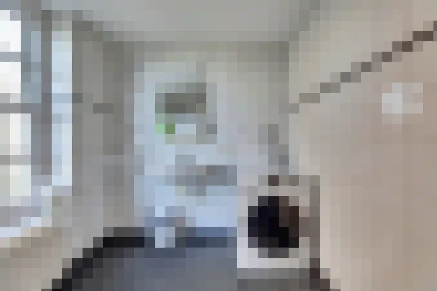 Buren 24 Gaast thumbnail 14