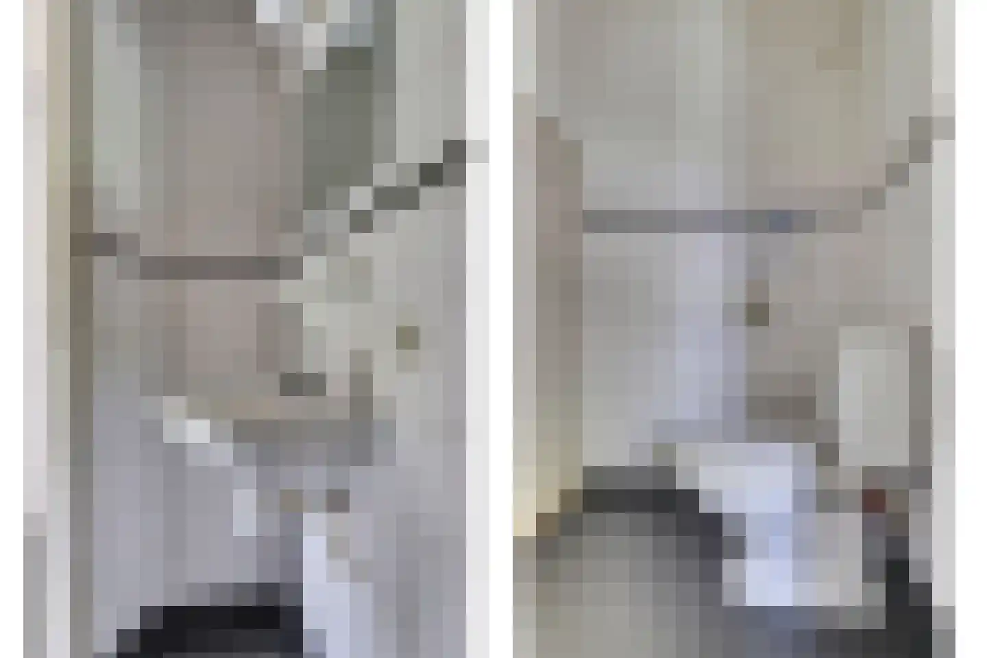 Buren 24 Gaast thumbnail 16