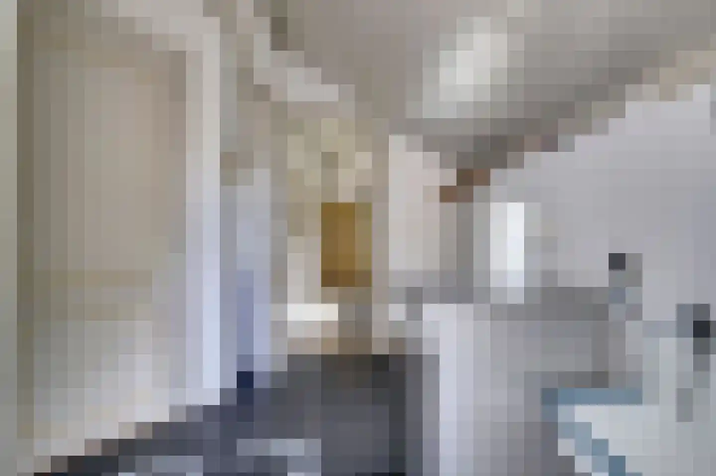Buren 24 Gaast thumbnail 17