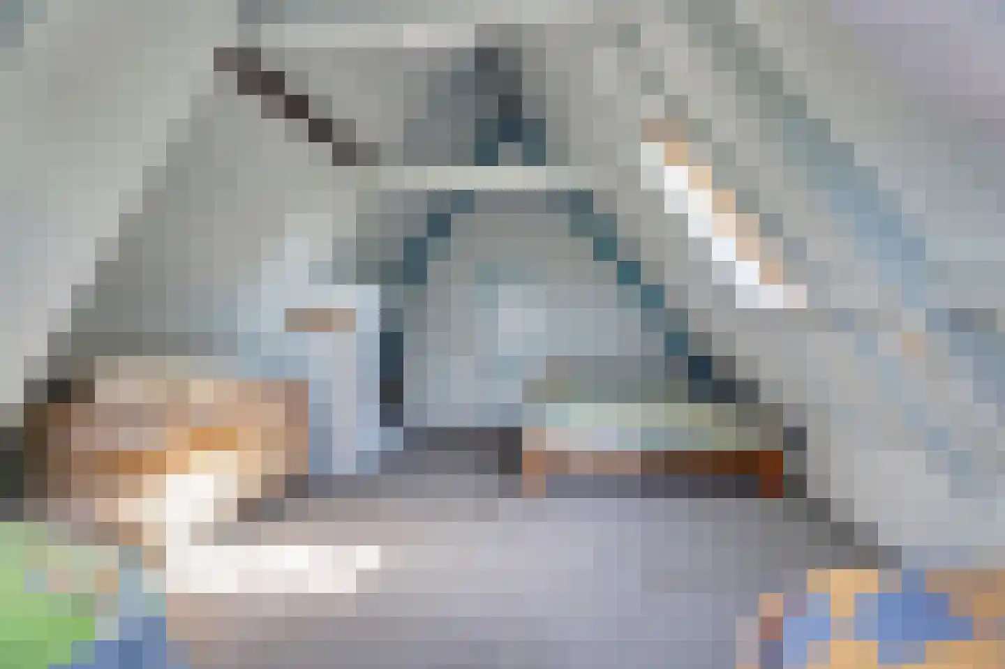 Buren 24 Gaast thumbnail 21