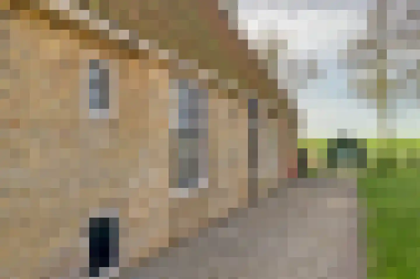 Buren 24 Gaast thumbnail 22