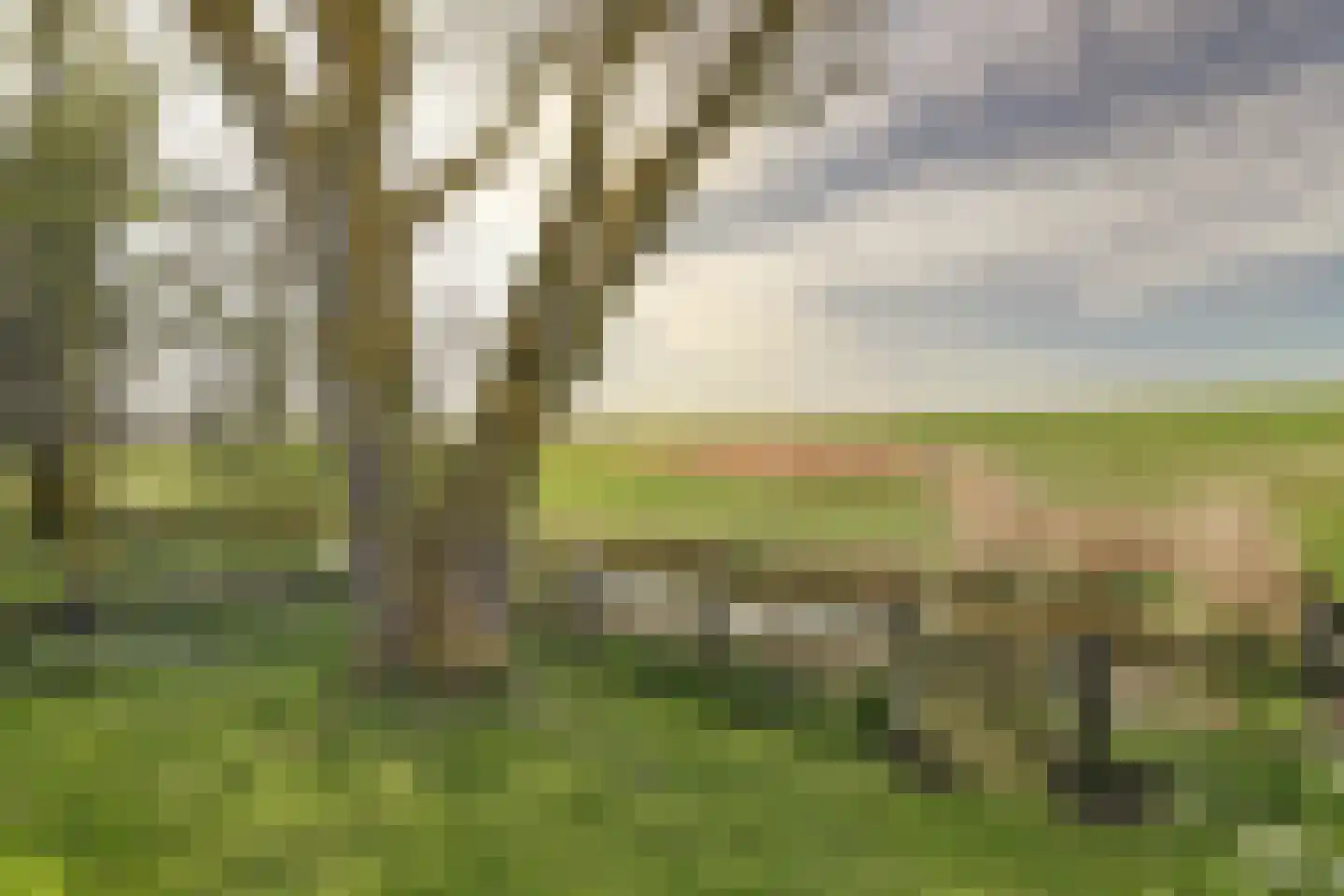 Buren 24 Gaast thumbnail 27