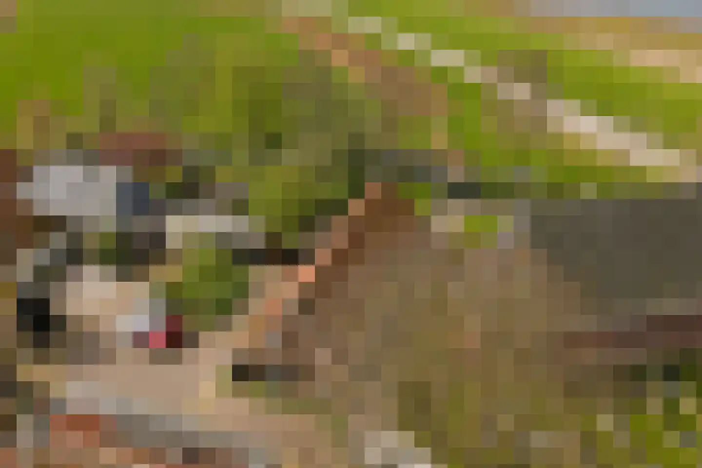 Buren 24 Gaast thumbnail 30