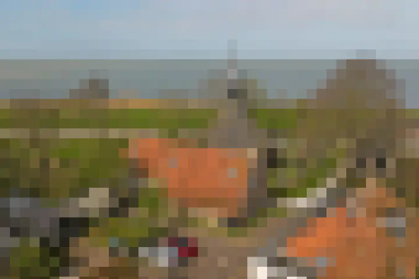 Buren 24 Gaast thumbnail 31
