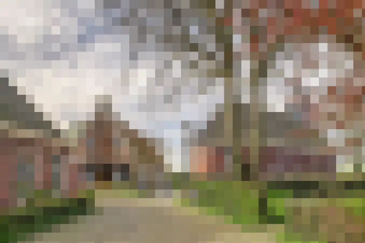 Buren 24 Gaast thumbnail 33