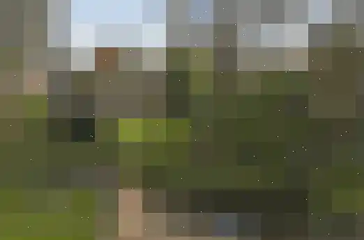 Buren 24 Gaast thumbnail 4