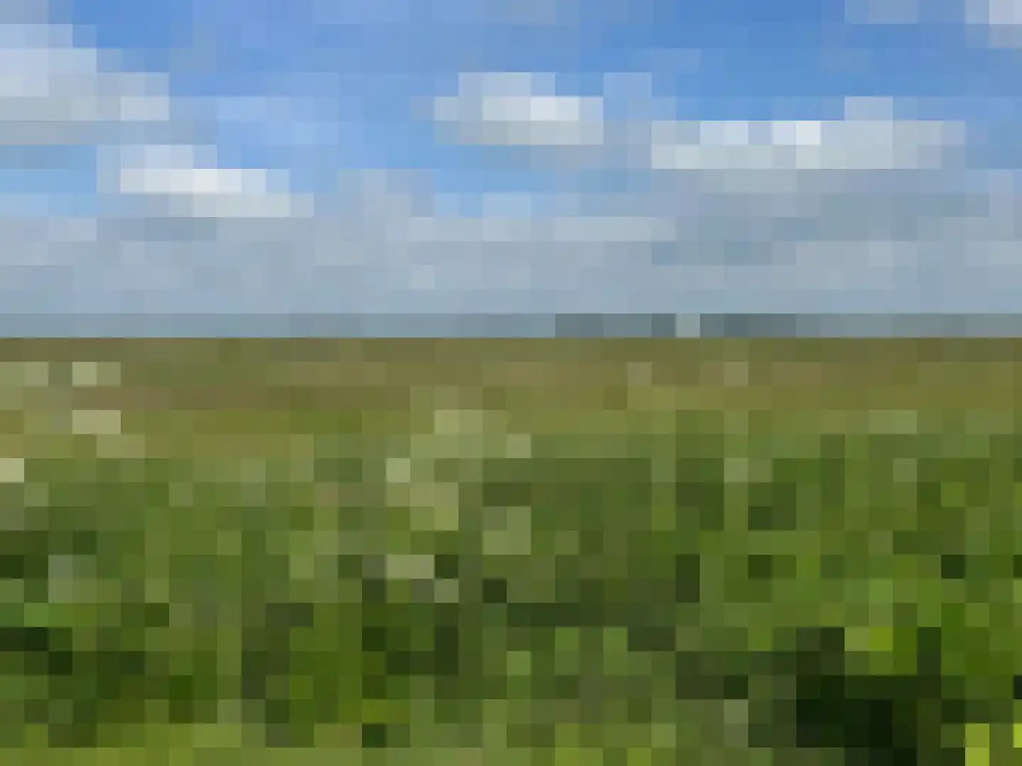 Buren 24 Gaast thumbnail 47