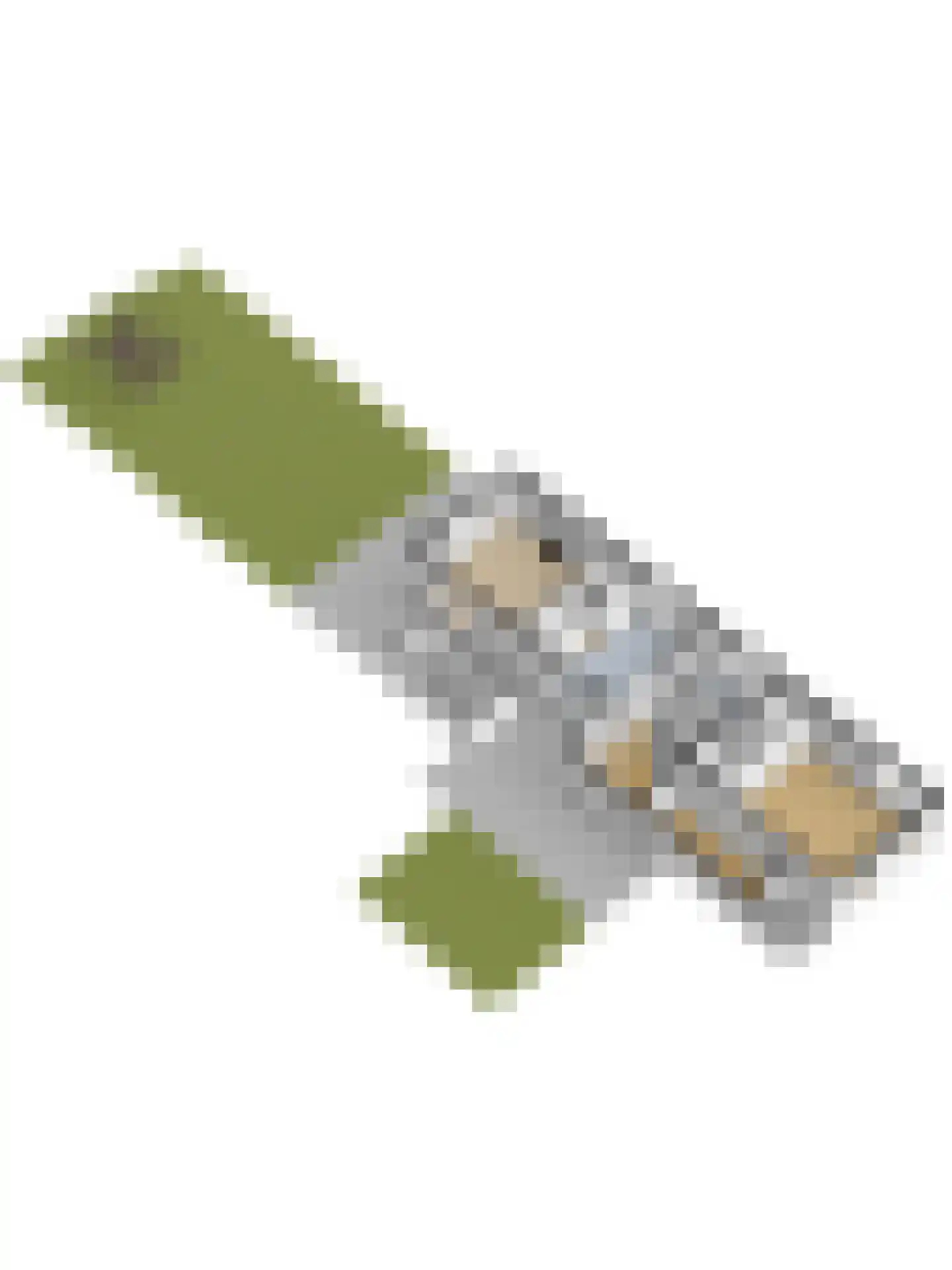 Buren 24 Gaast thumbnail 59