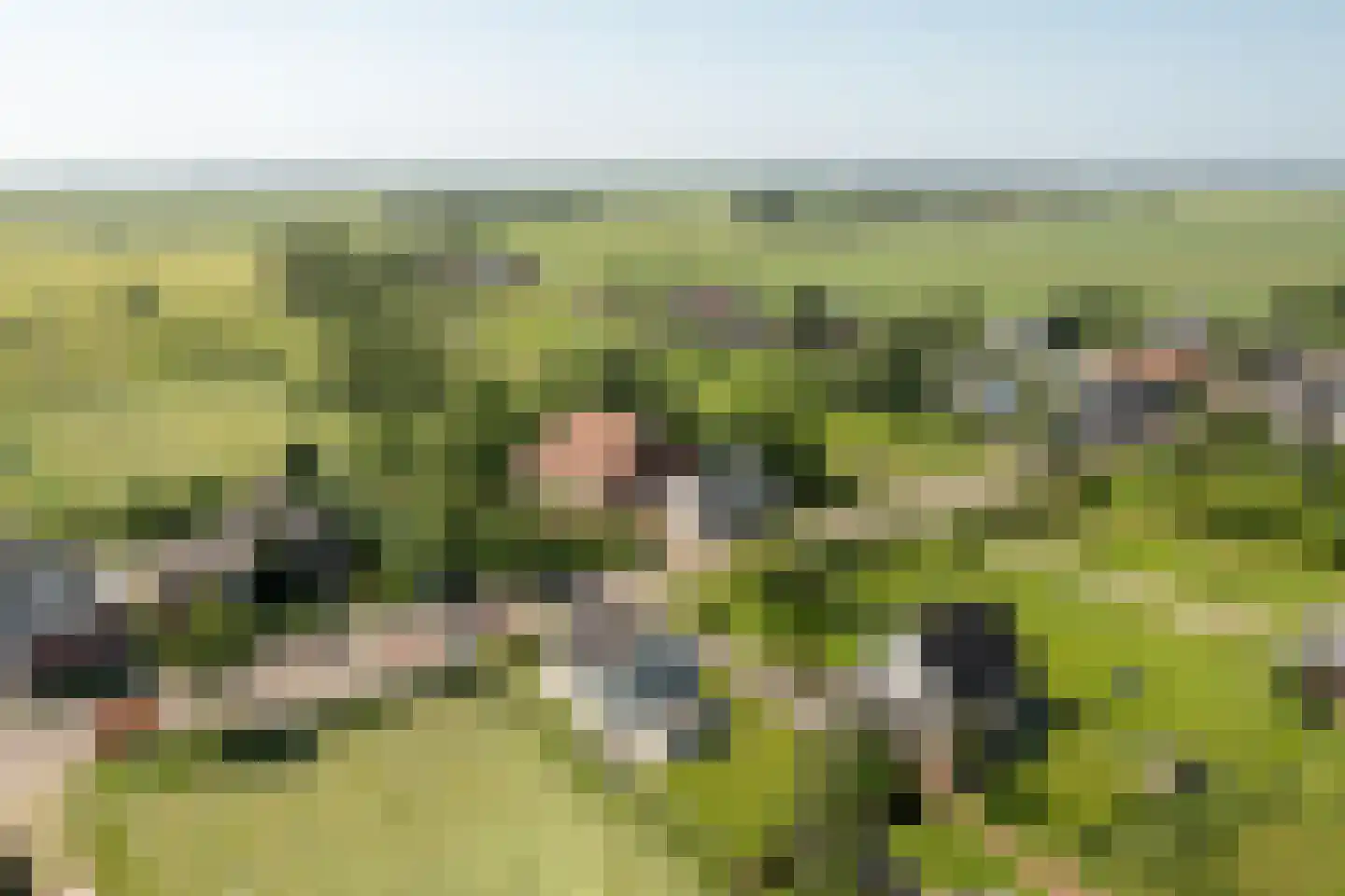 Buren 25 Oosterzee thumbnail 31