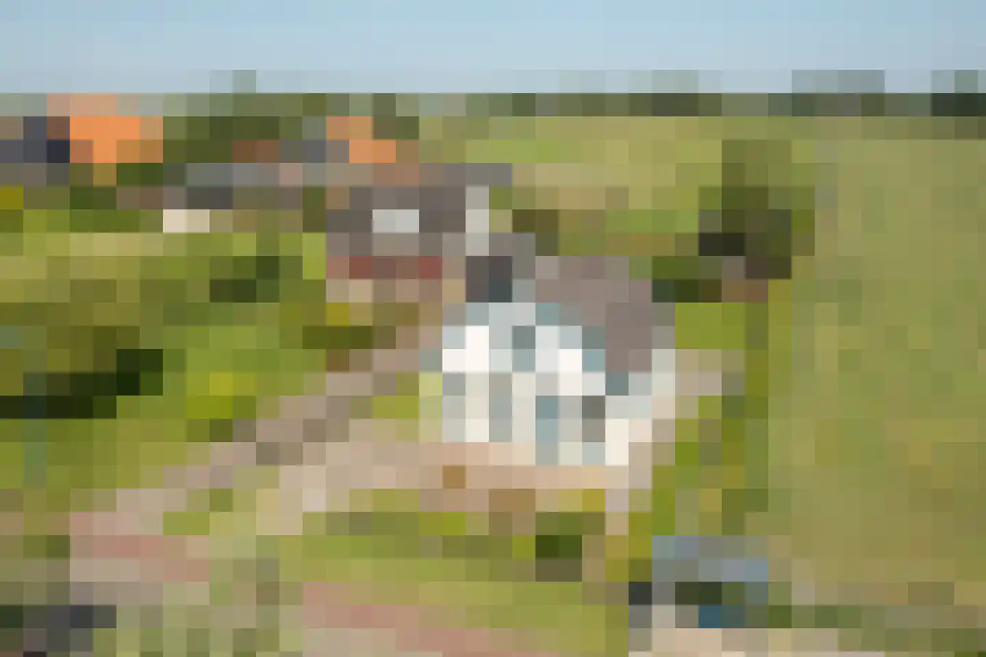 Buren 25 Oosterzee thumbnail 33