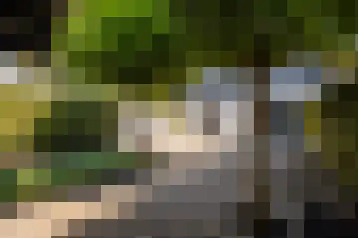 Buren 27 Makkum thumbnail 19