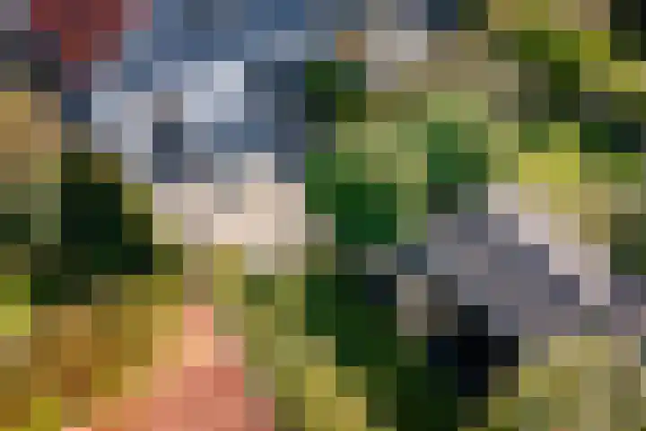 Buren 27 Makkum thumbnail 20