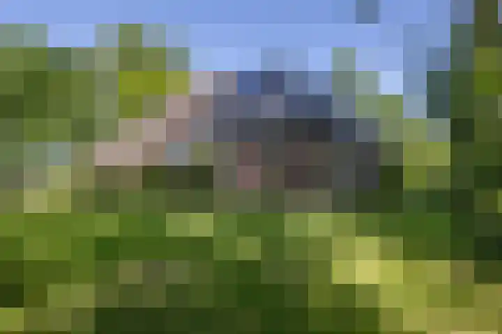 Buren 27 Makkum thumbnail 7