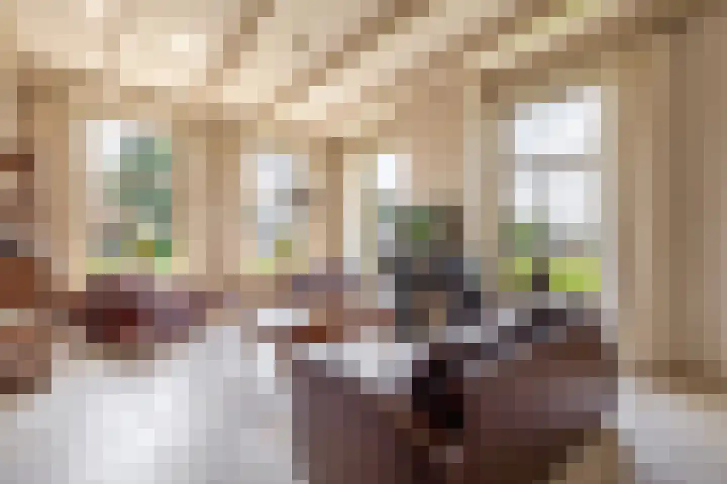 Buren 27 Oosterzee thumbnail 11