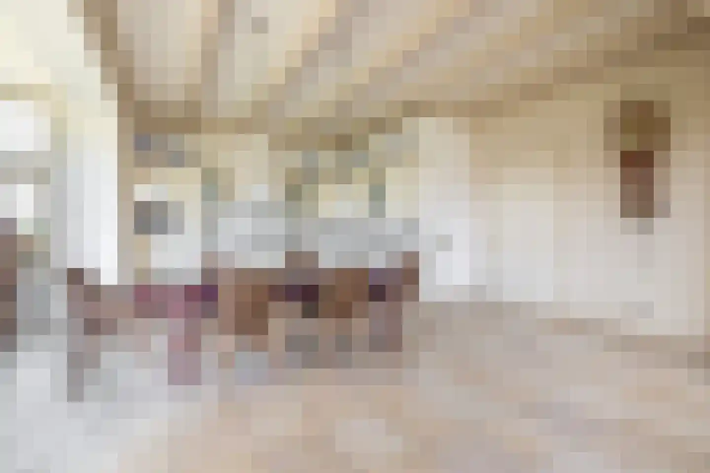 Buren 27 Oosterzee thumbnail 15