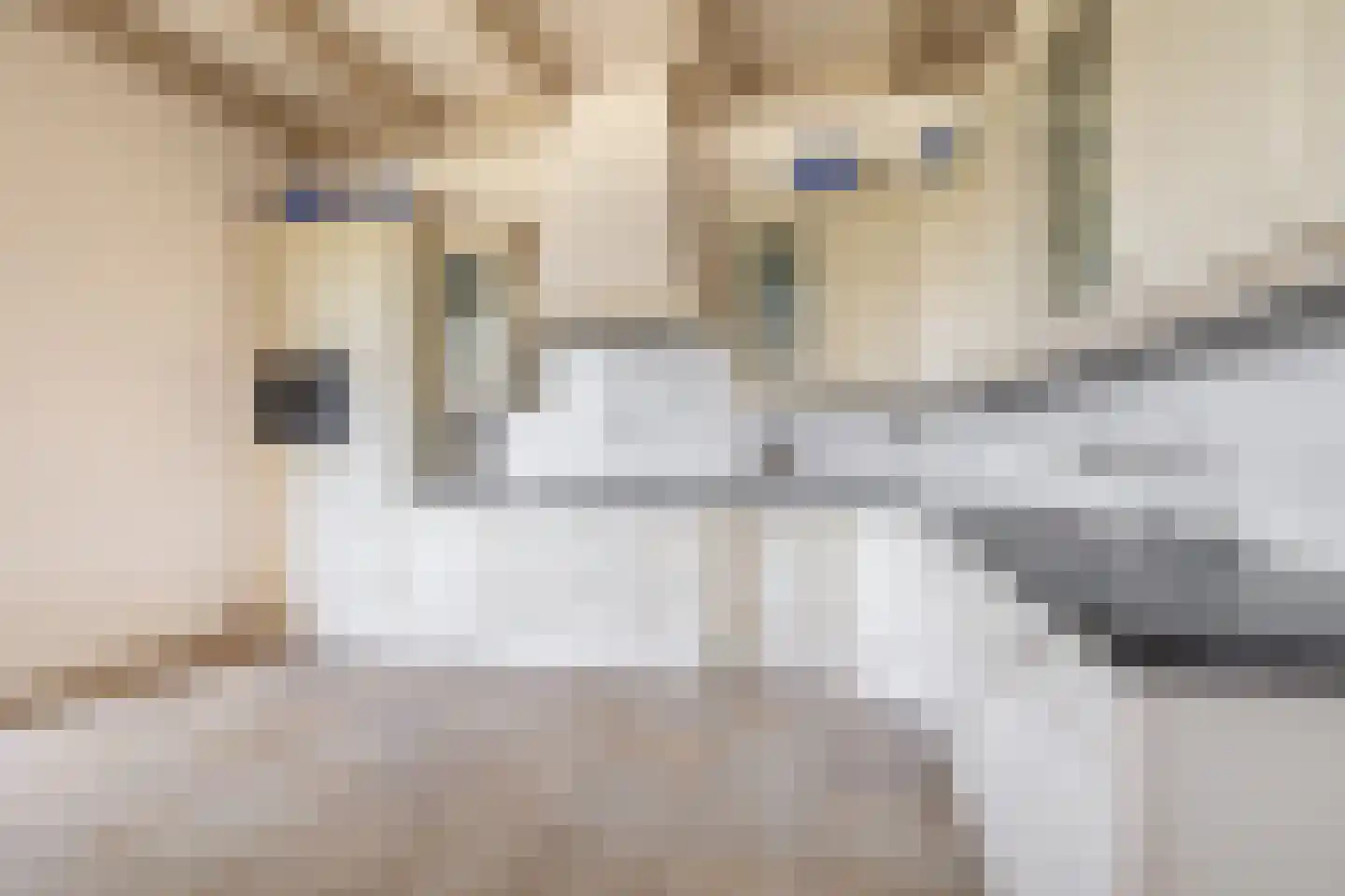 Buren 27 Oosterzee thumbnail 16