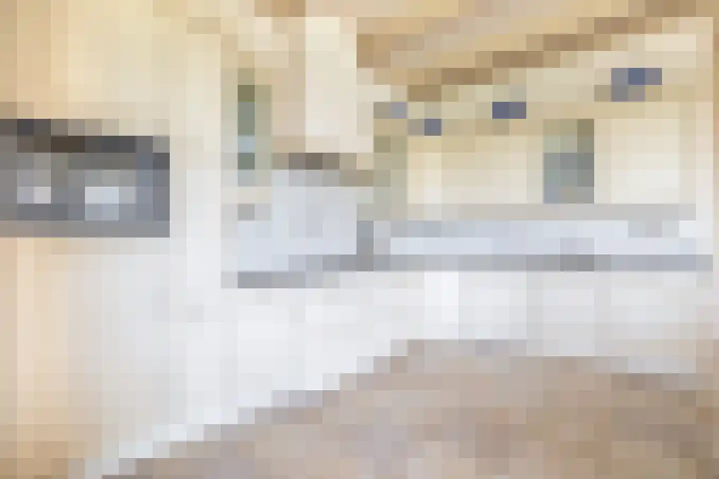 Buren 27 Oosterzee thumbnail 17