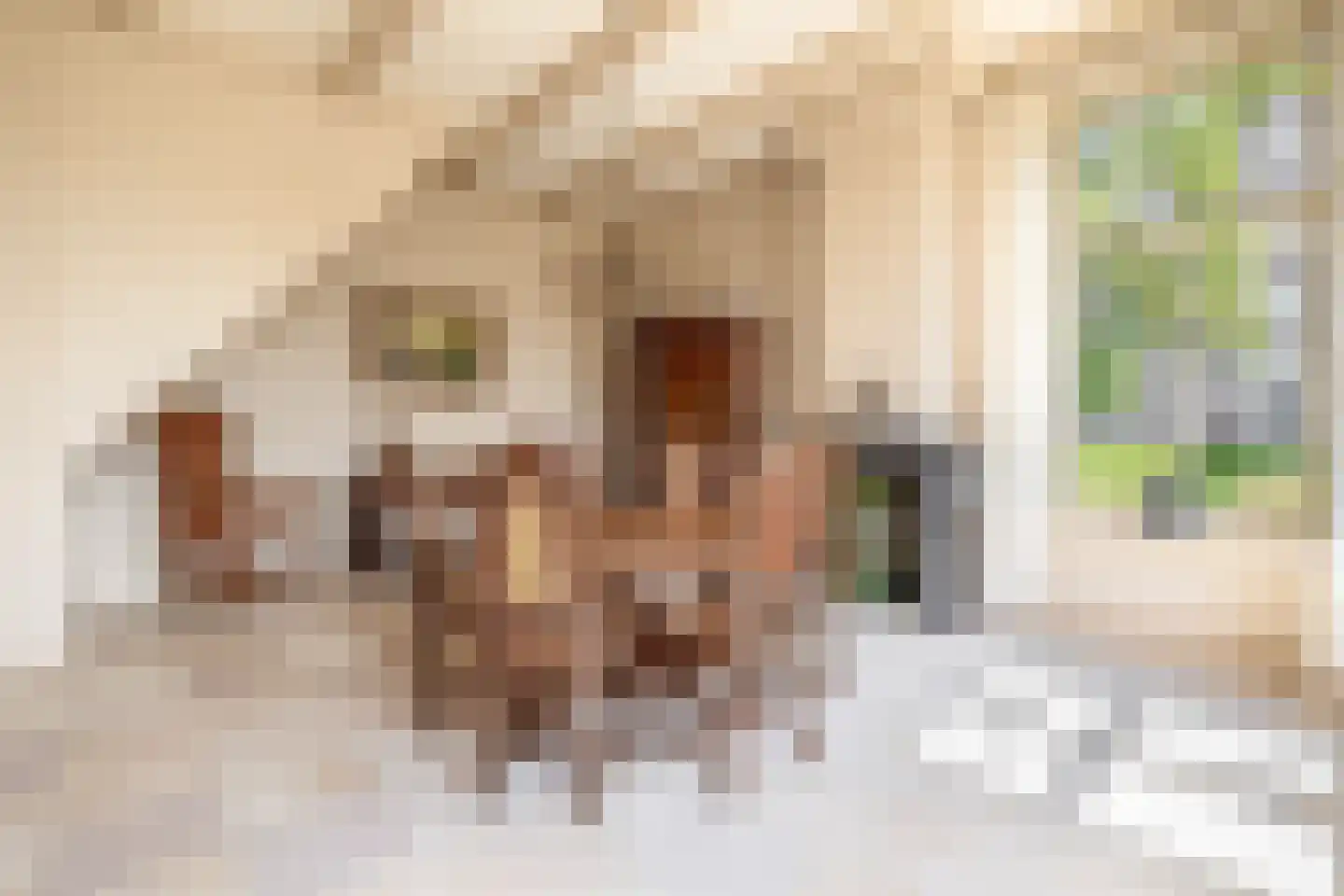 Buren 27 Oosterzee thumbnail 23