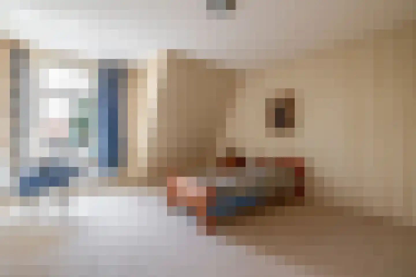 Buren 27 Oosterzee thumbnail 34